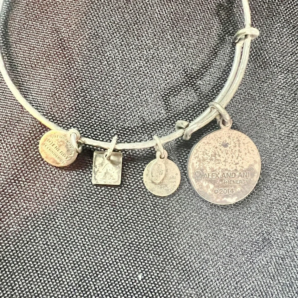 Alex‎ & Ani Expandable Charm Bangles Lot Of 3 Mixed Metals Wear Patina Stack